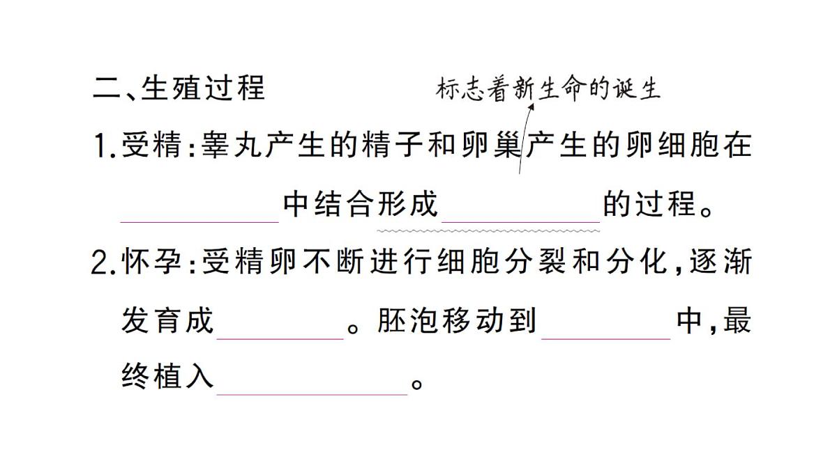 初中生物新人教版七年级下册第四单元第一章第一节 人的生殖作业课件2025春第4页