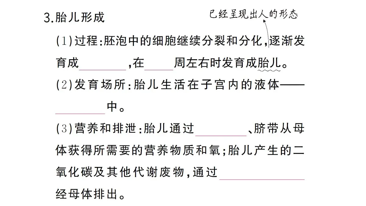 初中生物新人教版七年级下册第四单元第一章第一节 人的生殖作业课件2025春第5页