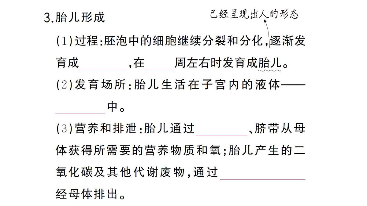 初中生物新人教版七年级下册第四单元第一章第一节 人的生殖作业课件2025春第5页