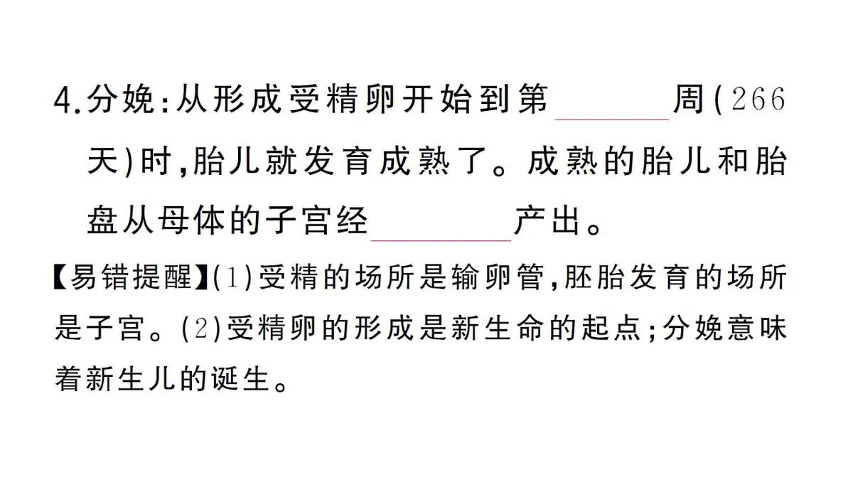 初中生物新人教版七年级下册第四单元第一章第一节 人的生殖作业课件2025春第6页