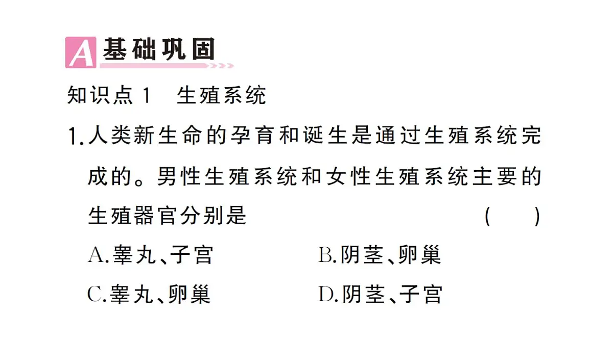 初中生物新人教版七年级下册第四单元第一章第一节 人的生殖作业课件2025春第7页