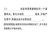 初中生物新人教版七年級下冊第四單元第一章第二節(jié) 青春期作業(yè)課件2025春