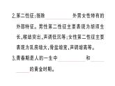 初中生物新人教版七年級下冊第四單元第一章第二節(jié) 青春期作業(yè)課件2025春