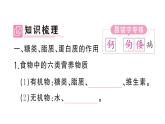 初中生物新人教版七年級下冊第四單元第二章第一節(jié) 食物中的營養(yǎng)物質(zhì)作業(yè)課件2025春