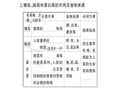 初中生物新人教版七年級下冊第四單元第二章第一節(jié) 食物中的營養(yǎng)物質(zhì)作業(yè)課件2025春