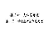 初中生物新人教版七年級(jí)下冊(cè)第四單元第三章第一節(jié) 呼吸道對(duì)空氣的處理作業(yè)課件2025春