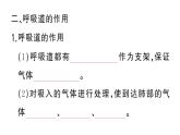 初中生物新人教版七年級(jí)下冊(cè)第四單元第三章第一節(jié) 呼吸道對(duì)空氣的處理作業(yè)課件2025春