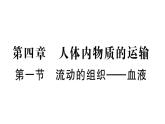 初中生物新人教版七年級下冊第四單元第四章第一節(jié) 流動的組織——血液作業(yè)課件2025春