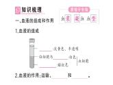 初中生物新人教版七年級下冊第四單元第四章第一節(jié) 流動的組織——血液作業(yè)課件2025春