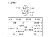 初中生物新人教版七年級下冊第四單元第四章第一節(jié) 流動的組織——血液作業(yè)課件2025春