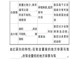 初中生物新人教版七年級下冊第四單元第四章第一節(jié) 流動的組織——血液作業(yè)課件2025春