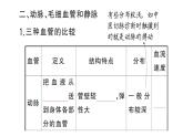 初中生物新人教版七年級(jí)下冊(cè)第四單元第四章第二節(jié) 血流的管道——血管作業(yè)課件2025春