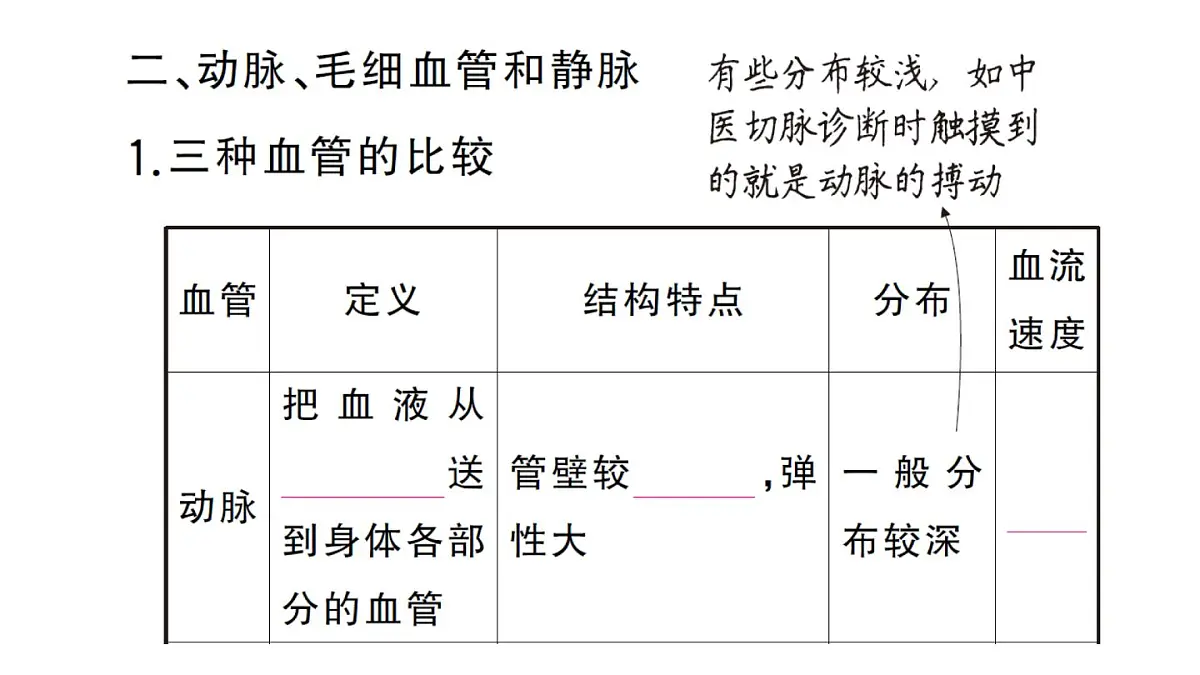 初中生物新人教版七年级下册第四单元第四章第二节 血流的管道——血管作业课件2025春第3页