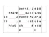 初中生物新人教版七年級(jí)下冊(cè)第四單元第四章第二節(jié) 血流的管道——血管作業(yè)課件2025春
