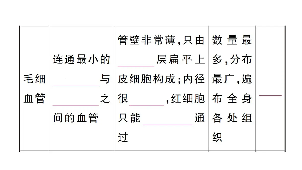 初中生物新人教版七年级下册第四单元第四章第二节 血流的管道——血管作业课件2025春第4页