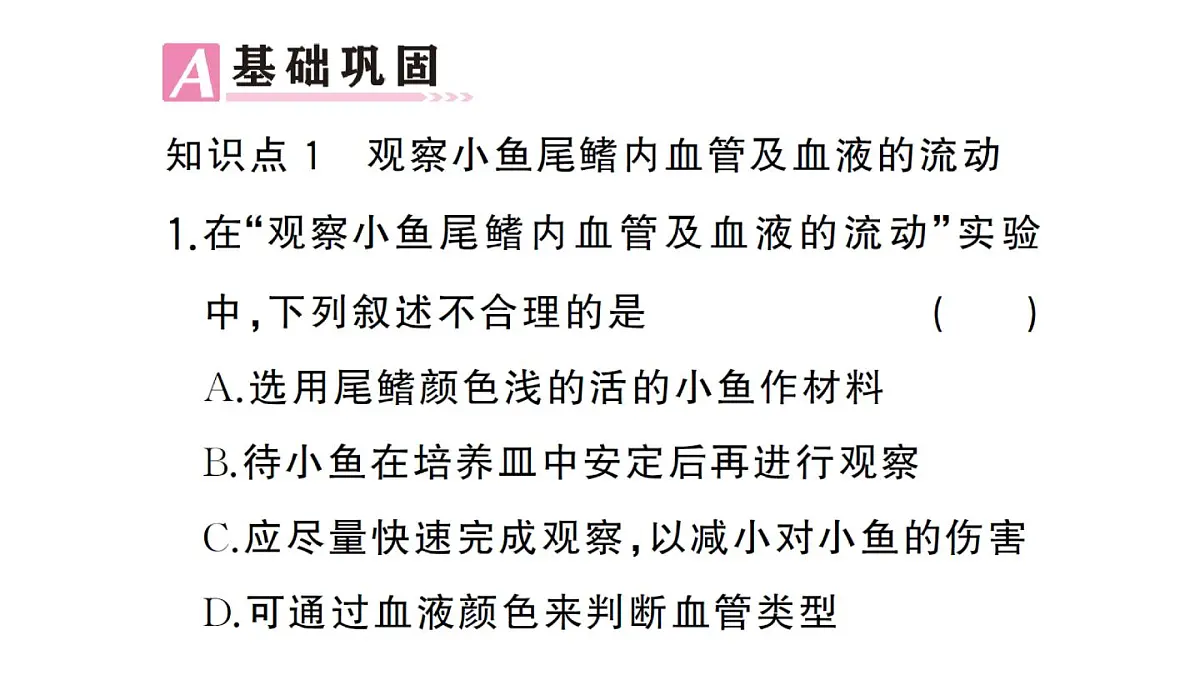 初中生物新人教版七年级下册第四单元第四章第二节 血流的管道——血管作业课件2025春第7页