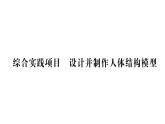 初中生物新人教版七年級(jí)下冊(cè)第四單元第五章綜合實(shí)踐項(xiàng)目 設(shè)計(jì)并制作人體結(jié)構(gòu)模型作業(yè)課件2025春