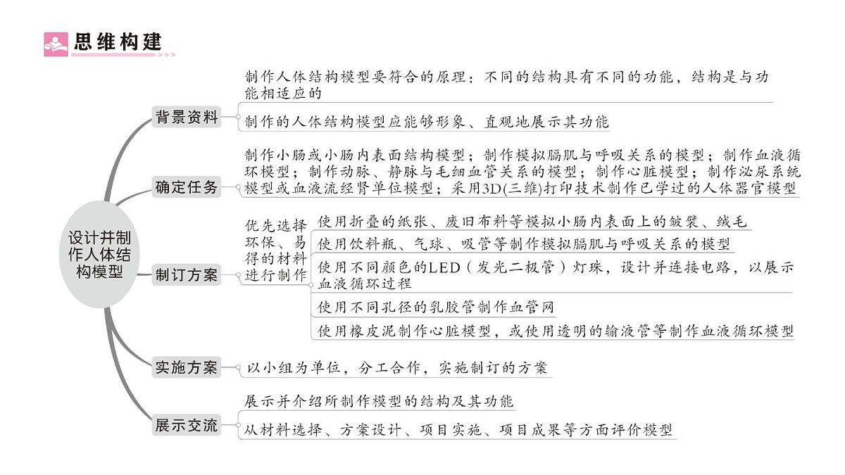 初中生物新人教版七年级下册第四单元第五章综合实践项目 设计并制作人体结构模型作业课件2025春第2页