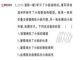 初中生物新人教版七年級(jí)下冊(cè)第四單元第五章綜合實(shí)踐項(xiàng)目 設(shè)計(jì)并制作人體結(jié)構(gòu)模型作業(yè)課件2025春