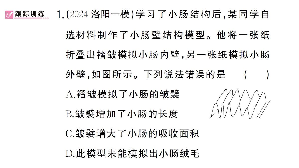 初中生物新人教版七年级下册第四单元第五章综合实践项目 设计并制作人体结构模型作业课件2025春第3页