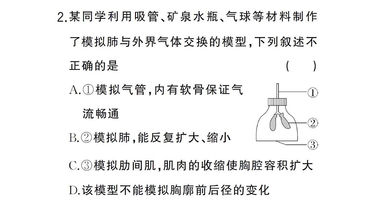 初中生物新人教版七年级下册第四单元第五章综合实践项目 设计并制作人体结构模型作业课件2025春第4页
