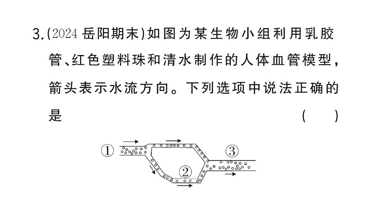 初中生物新人教版七年级下册第四单元第五章综合实践项目 设计并制作人体结构模型作业课件2025春第5页