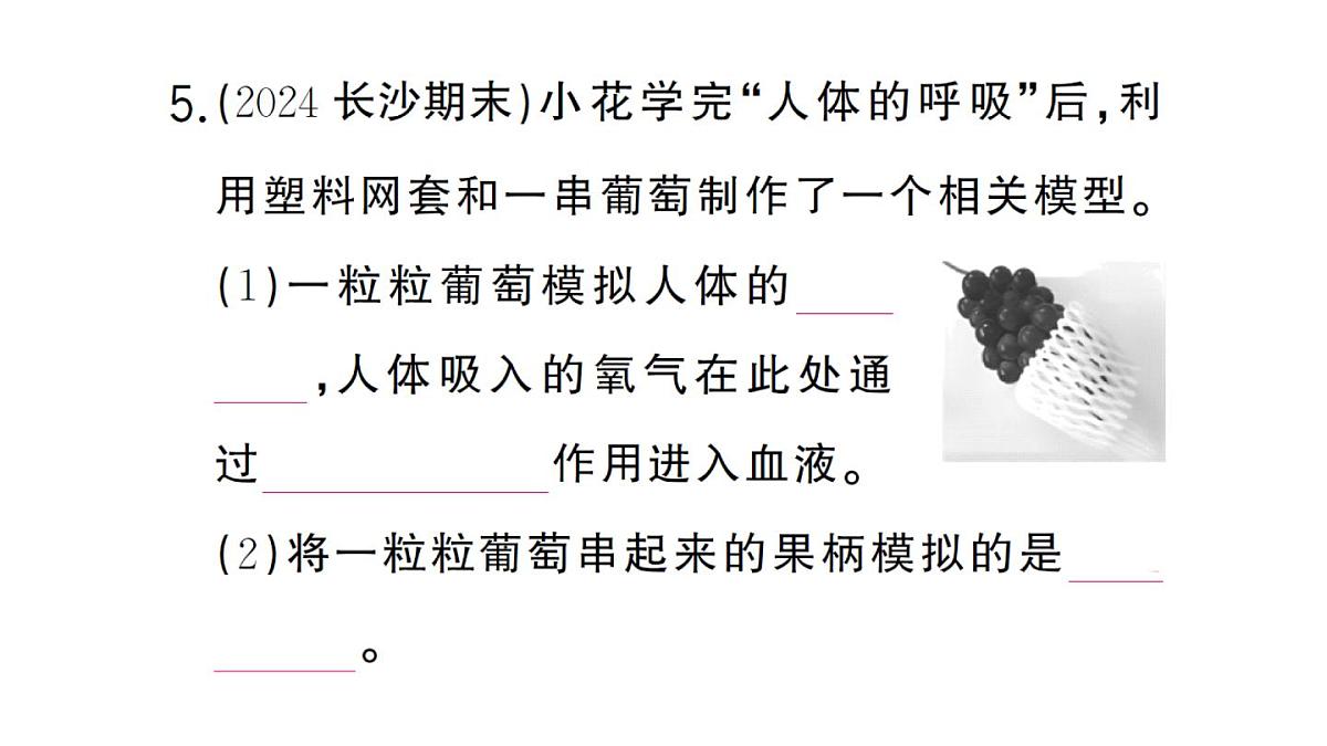 初中生物新人教版七年级下册第四单元第五章综合实践项目 设计并制作人体结构模型作业课件2025春第8页