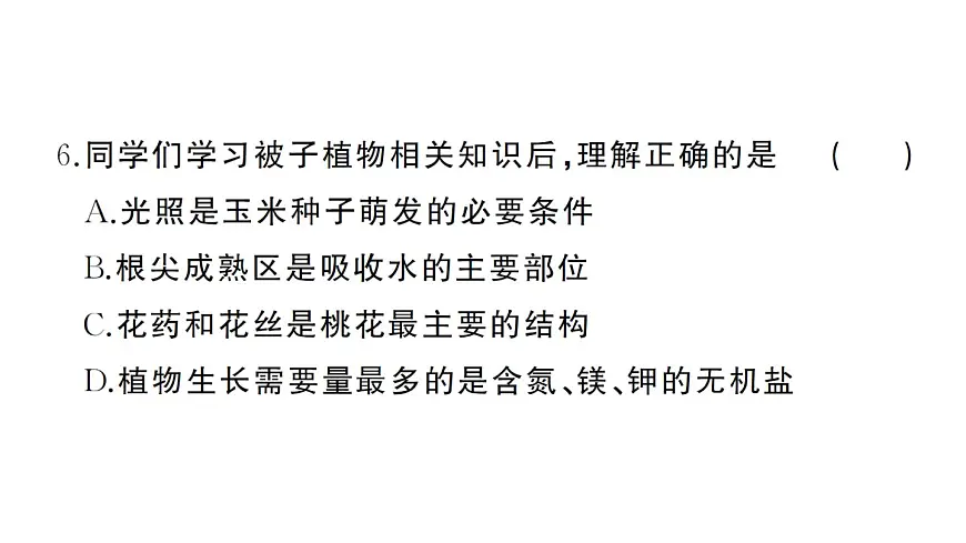 初中生物新人教版七年级下册期中综合检测卷作业课件2025春第6页