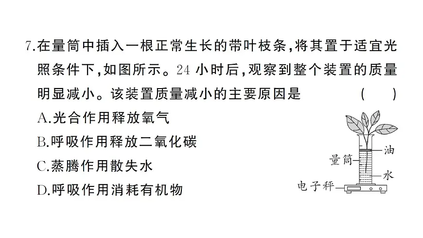 初中生物新人教版七年级下册期中综合检测卷作业课件2025春第7页