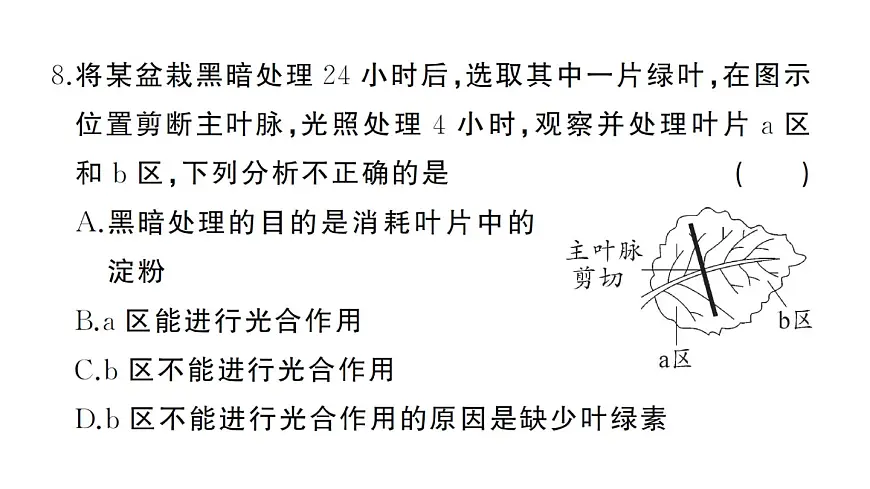 初中生物新人教版七年级下册期中综合检测卷作业课件2025春第8页