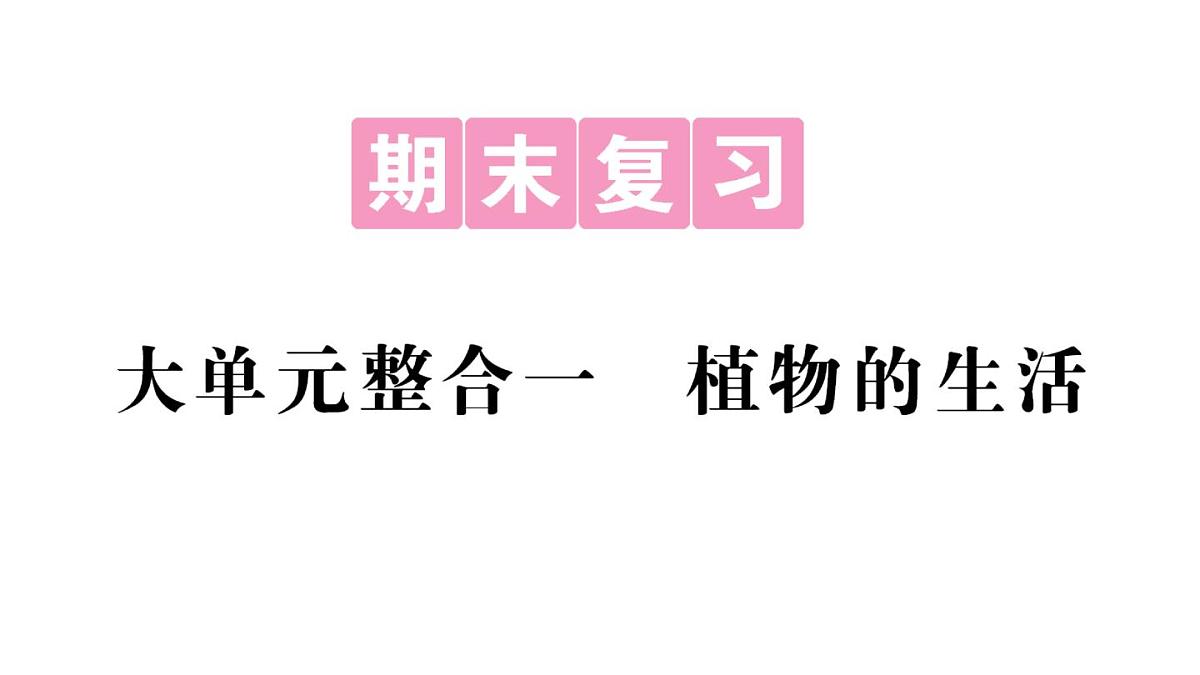 初中生物新人教版七年级下册期末大单元整合一 植物的生活作业课件2025春第1页