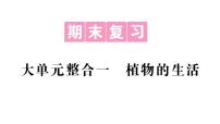 初中生物新人教版七年级下册期末大单元整合一 植物的生活作业课件2025春