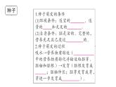 初中生物新人教版七年级下册期末大单元整合一 植物的生活作业课件2025春