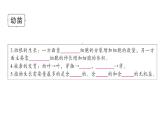 初中生物新人教版七年级下册期末大单元整合一 植物的生活作业课件2025春