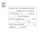 初中生物新人教版七年级下册期末大单元整合一 植物的生活作业课件2025春