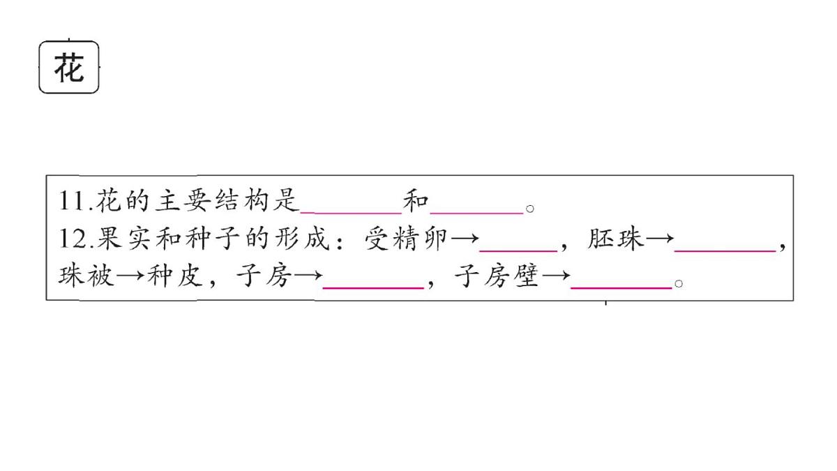初中生物新人教版七年级下册期末大单元整合一 植物的生活作业课件2025春第7页