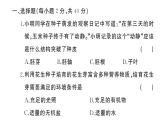 初中生物新人教版七年级下册期末综合检测卷（一）作业课件2025春