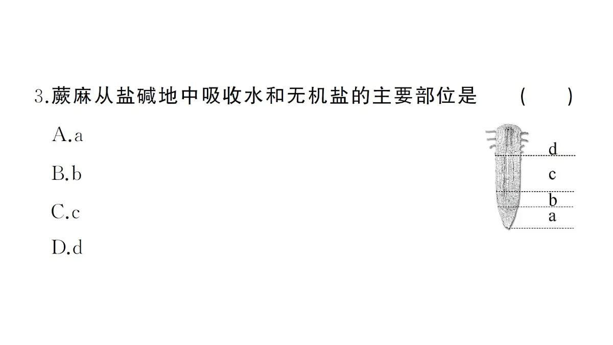 初中生物新人教版七年级下册期末综合检测卷（一）作业课件2025春第3页