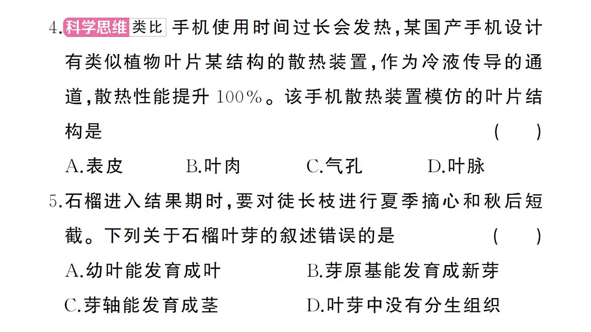 初中生物新人教版七年级下册期末综合检测卷（一）作业课件2025春第4页