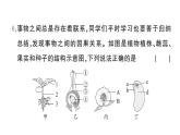 初中生物新人教版七年级下册期末综合检测卷（一）作业课件2025春