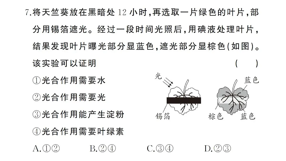 初中生物新人教版七年级下册期末综合检测卷（一）作业课件2025春第7页