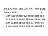 初中生物新人教版七年级下册期末综合检测卷（二）作业课件2025春