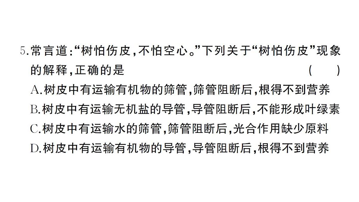 初中生物新人教版七年级下册期末综合检测卷（二）作业课件2025春第4页