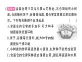 初中生物新人教版七年级下册期末综合检测卷（二）作业课件2025春