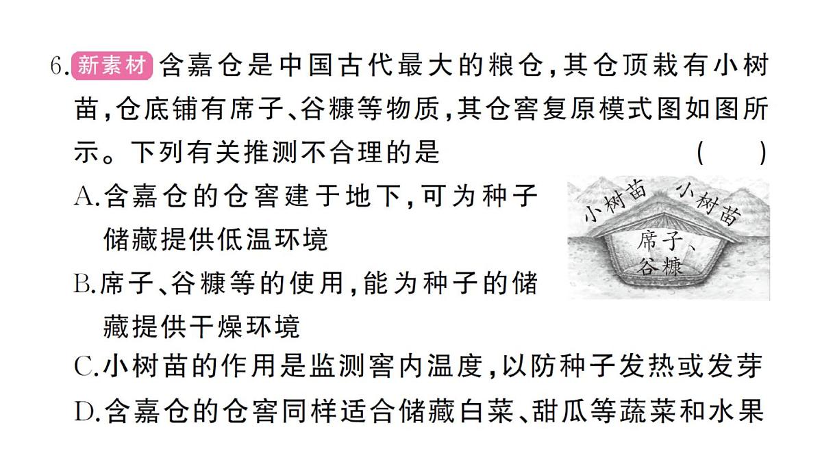 初中生物新人教版七年级下册期末综合检测卷（二）作业课件2025春第5页
