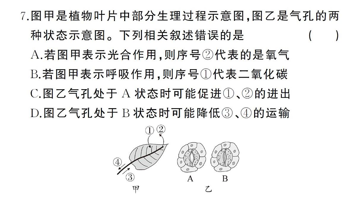 初中生物新人教版七年级下册期末综合检测卷（二）作业课件2025春第6页