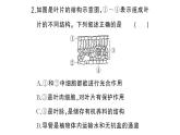初中生物新人教版七年级下册期末识图理解题作业课件2025春