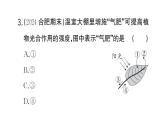 初中生物新人教版七年级下册期末识图理解题作业课件2025春