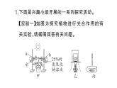 初中生物新人教版七年级下册期末项目式学习作业课件2025春