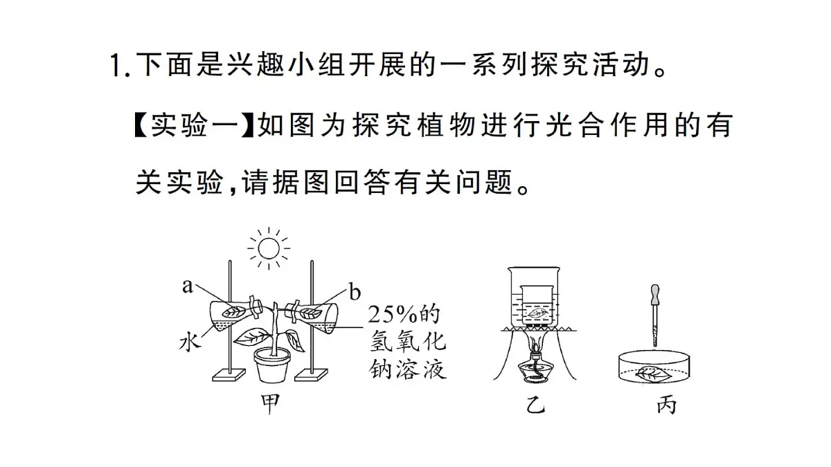 初中生物新人教版七年级下册期末项目式学习作业课件2025春第2页